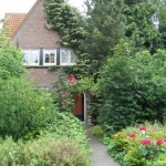 Dutch front garden